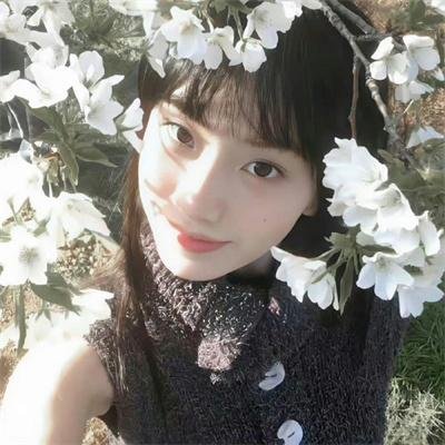 槑头槑脑3